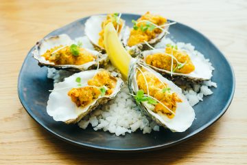 Feeding Oysters in an Aquarium